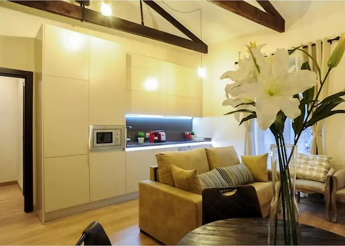 公寓 Premium La Latina 2. *